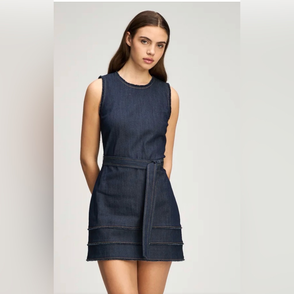 Cinq A Sept Mindie Dress - Size 4 New W /Tags